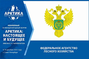 Как сохранять и восстанавливать лес в Арктике – расскажут представители Рослесхоза